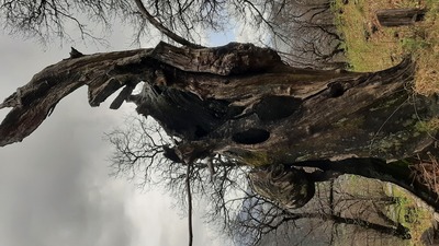 Tourenbericht