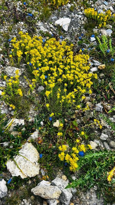 Relazione della gita