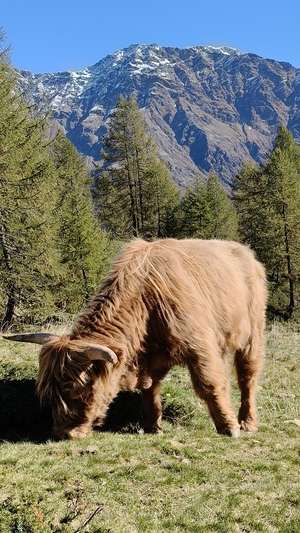 Relazione della gita