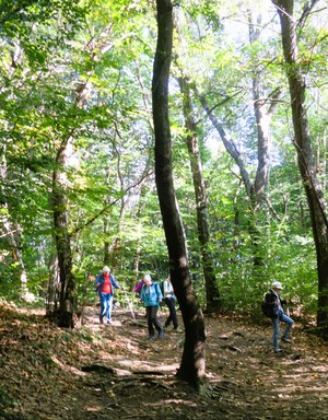 Relazione della gita