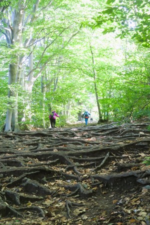 Relazione della gita