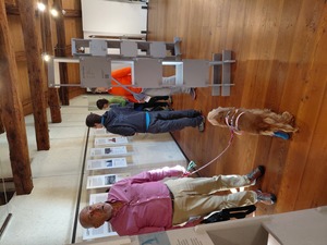 Relazione della gita