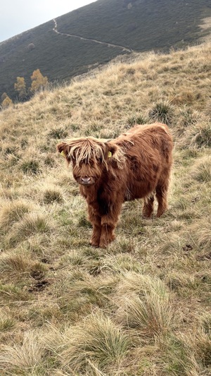 Relazione della gita