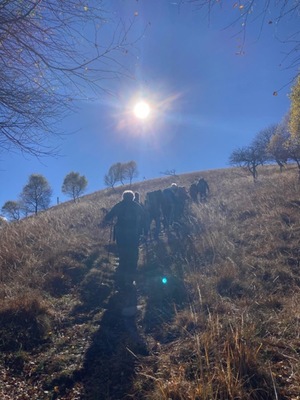 Relazione della gita