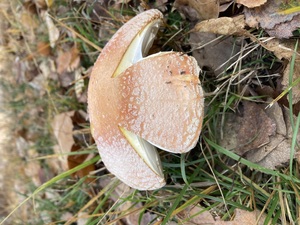 Relazione della gita