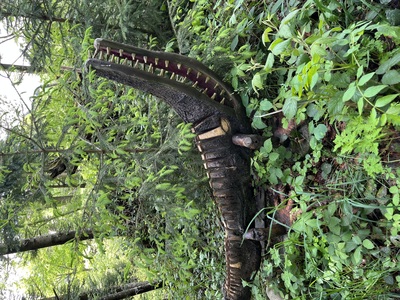 Tourenbericht