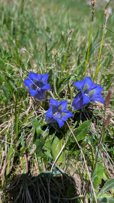 Tourenbericht