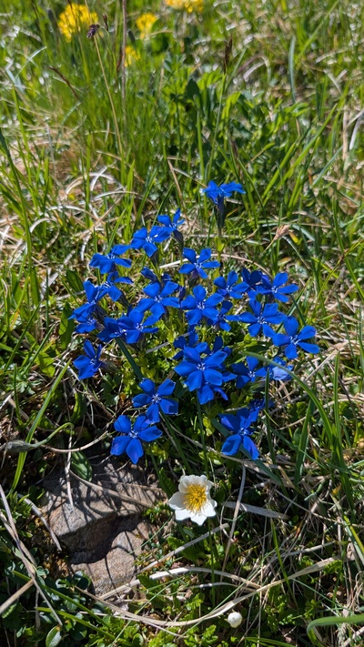 Tourenbericht