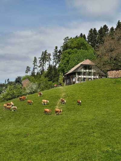 Tourenbericht