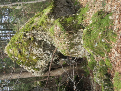 Tourenbericht
